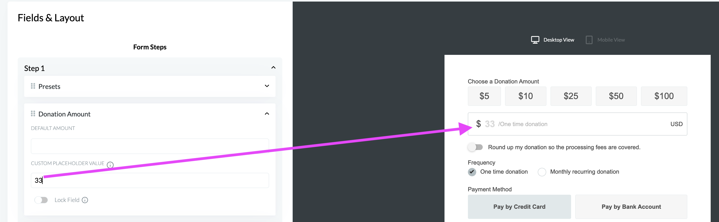 Custom placeholder amounts in donation form